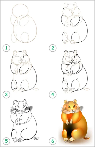Sidan visar hur du steg för steg lär dig att rita en hamster. — Stock vektor