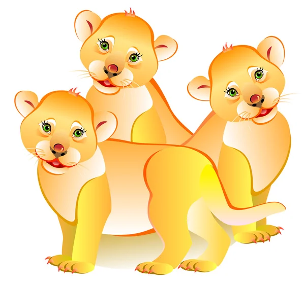 Ilustrace ze tří lvíčata. — Stockový vektor