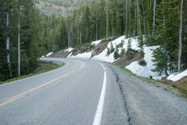 Yol Yellowstone Milli Parkı'nda Wyoming, ABD 