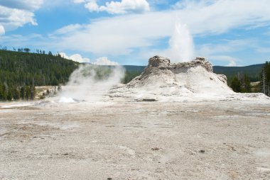 Castle Gayzer, Yellowstone Ulusal Pa muhteşem koni