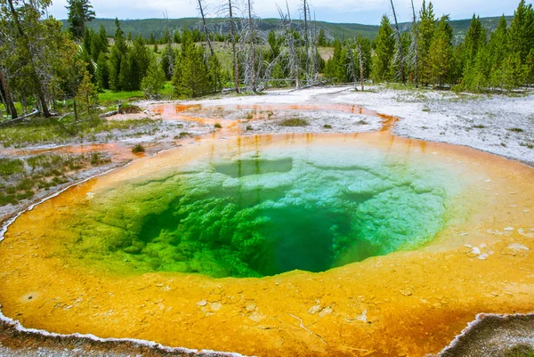 Bright colors of the Morning Glory Pool of the Upper Geyser Basi — стокове фото