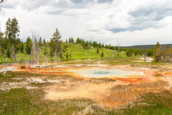Fabelhafte Aussicht auf den Yellowstone-Nationalpark, Wyoming, USA — Stockfoto