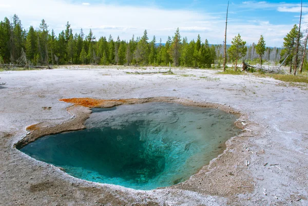 Piscina Opalescente de la Cuenca Superior del Géiser en Yellowstone Natio — Foto de Stock