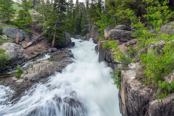 Lake Creek Falls, Wyoming, Estados Unidos — Foto de Stock