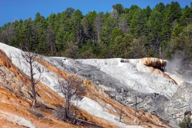 Paletpınar, Yellowstone Milli Parkı'nın ilginç oluşumları