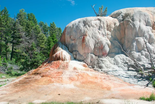 Primo piano della primavera arancione alle sorgenti termali di Mammoth, parco nazionale di Yellowstone — Foto Stock