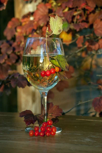 Still-life with a glass of wine, autumn leaves and berries