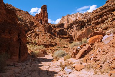 Vermilyon Cliffs, Kuzey Arizona, ABD