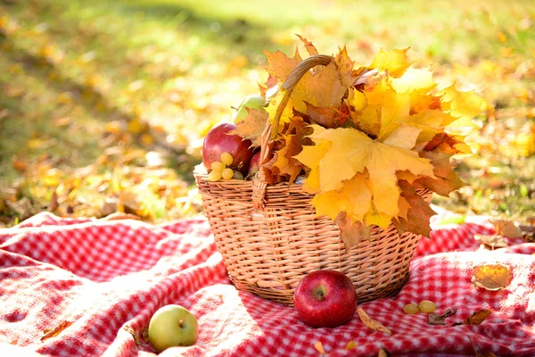 Кошик з осіннім листям і фруктами — стокове фото
