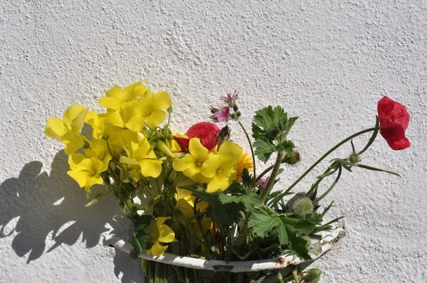 Ramo de flores silvestres — Foto de Stock