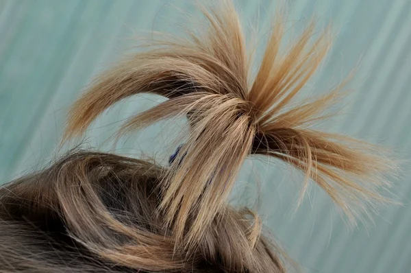 Kosmyka włosów — Zdjęcie stockowe