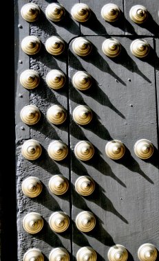 altın pirinç çivi