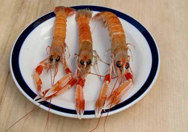 Três lagostins em um prato — Fotografia de Stock