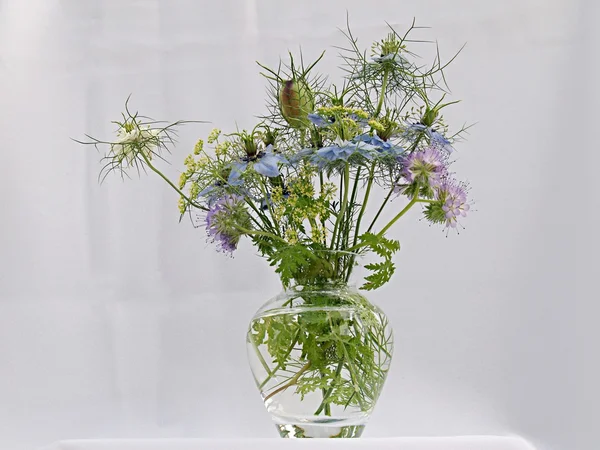 Buquê de flores selvagens elegantes — Fotografia de Stock