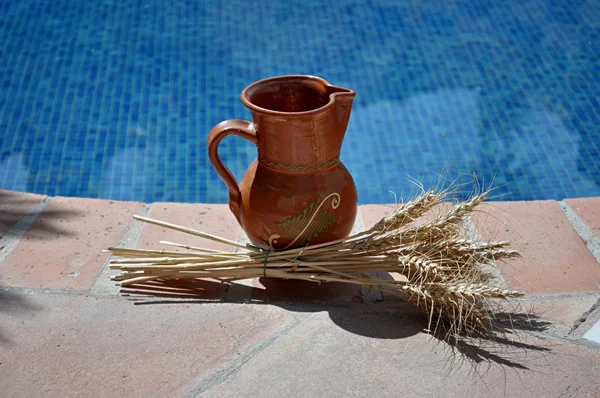 Taza de cerveza y cebada — Foto de Stock