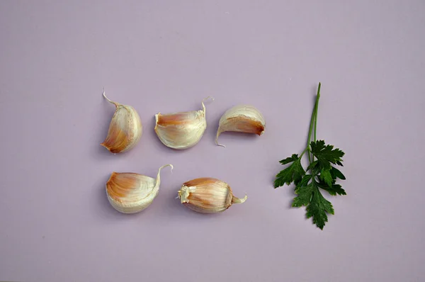 Garlics e salsa — Fotografia de Stock