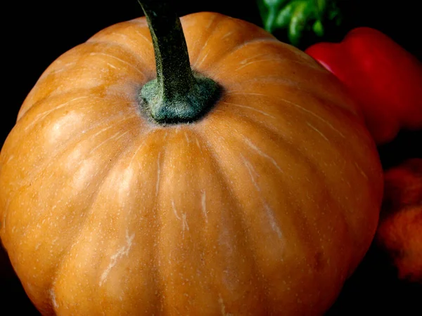 Calabaza Primer Plano Color Rojo Fondo — Foto de Stock