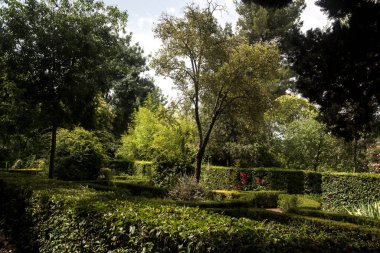 Geometrik dizaynlı romantik yapraklı bahçe