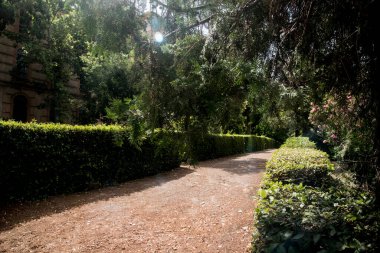 Geometrik dizaynlı romantik yapraklı bahçe