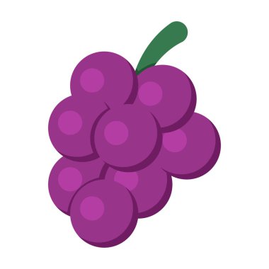 Yaprak vektörlü üzümler. Doğal meyve, üzüm bağı hasadı, sağlıklı beslenme ve antioksidan besin gösterimi.