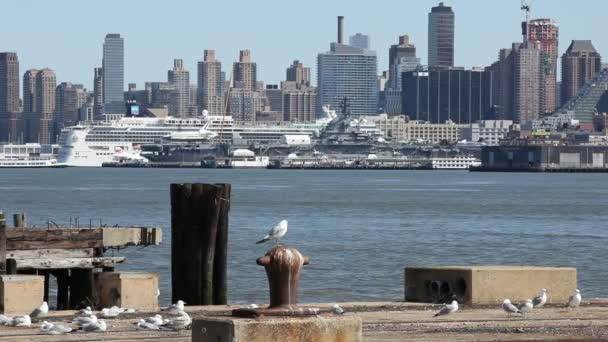 Vyn över Manhattans stadssilhuett från Hudson Bay — Stockvideo