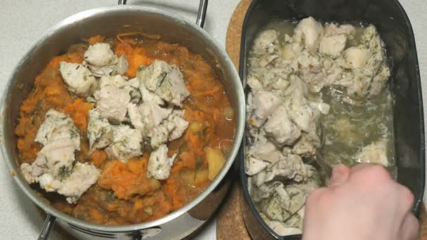 Pieces of chicken and vegetable ragout in saucepan — Stock Footage Pieces of chicken and vegetable ragout in saucepan Stock Video