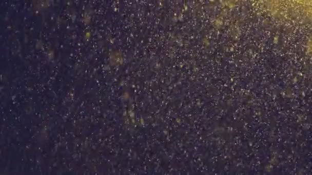 Neige tombe petits flocons dans l'obscurité avec éclairage — Video