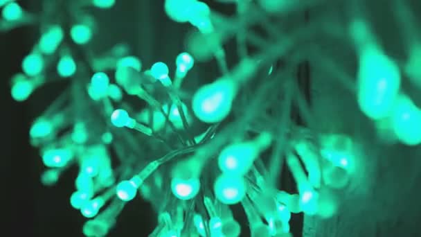 Світлодіодна гірлянда спалахує зеленим — стокове відео