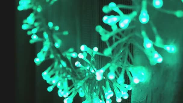 LED girland fény zöld színnel villog. — Stock videók