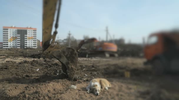 Excavadora sube una arcilla en un camión usando un cubo — Vídeo de stock