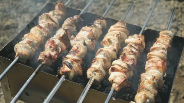 Cuisson de viande de porc sur les brochettes métalliques sur les charbons — Video