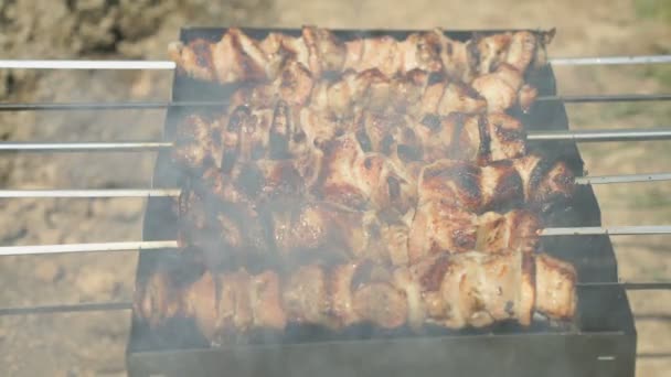 Cooking of pork skewers on metal skewers on coals — Stock Video