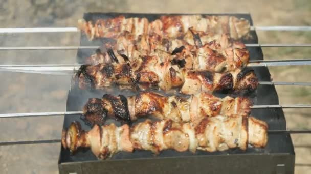 Cooking of pork skewers on metal skewers on coals — Stock Video