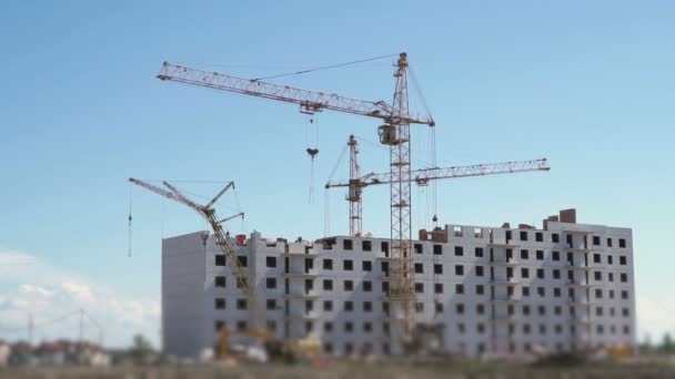 Grues à tour travaillant sur le chantier — Video