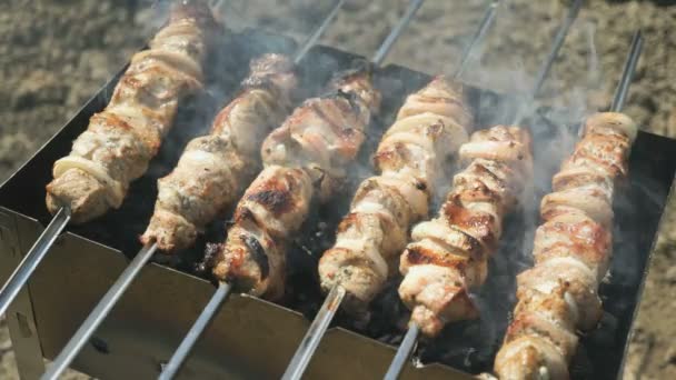 Barbecue with delicious grilled meat on grill — Stock Video