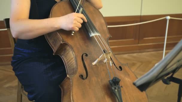 Primer plano de una mujer tocando el contrabajo — Vídeos de Stock