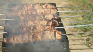 Kömürlerin üzerinde metal şiş üzerinde domuz eti yemek