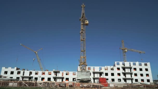 Construction site include four construction cranes — Stock Video