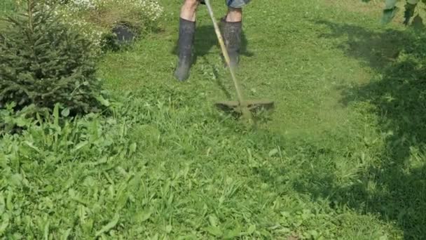 Tondeuse homme tondre l'herbe à l'extérieur — Video