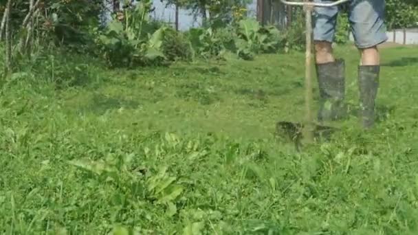 Pekerja memotong rumput menggunakan trimmer outdoors — Stok Video