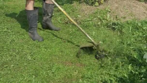 Arbetaren klipper gräset med en gräsklippare — Stockvideo