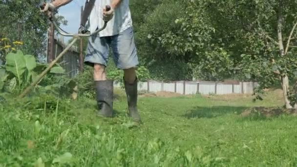 Jardineiro corta a grama com cortador de grama — Vídeo de Stock