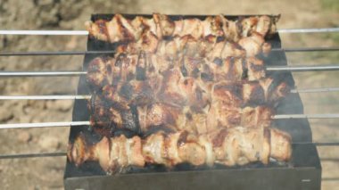 Kömürlerin üzerinde metal şiş üzerinde domuz eti yemek