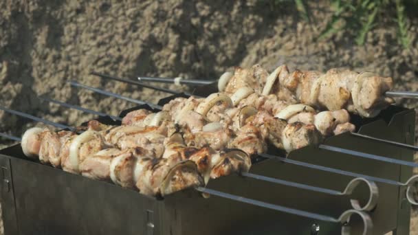 Churrasco com deliciosa carne grelhada na grelha — Vídeo de Stock