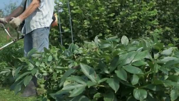 El trabajador corta la hierba usando una cortadora de césped — Vídeos de Stock