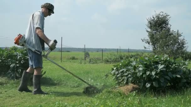 El jardinero corta la hierba con una cortadora de césped — Vídeo de stock