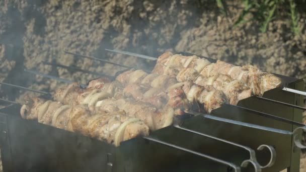 Kebaby są palone na metalowe szaszłyki na węgle — Wideo stockowe