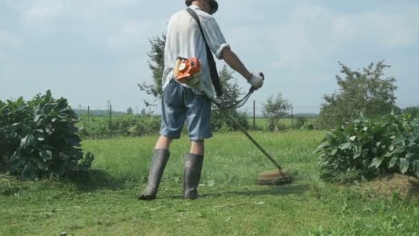 Pracownik kosi trawę za pomocą kosiarki do trawy — Wideo stockowe