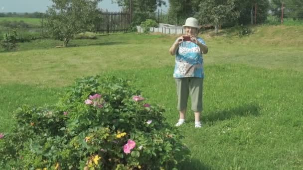 Bejaarde oma neemt foto's van het park — Stockvideo