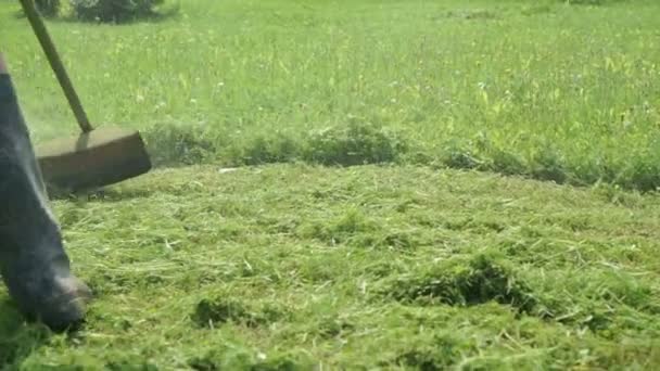 O trabalhador corta a grama usando um cortador de grama — Vídeo de Stock